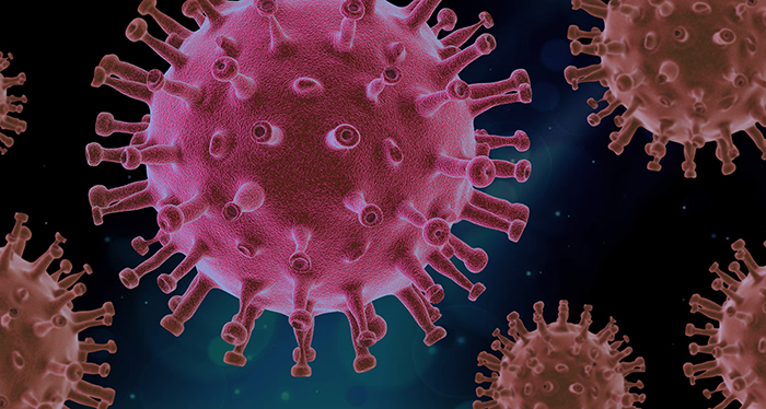 virus-4937553-Image-par-a-href-httpspixabay-comfrusersPIRO4D-2707530utm_source-link-attribution-amp;utm_medium-referral-amp;utm_campaign-image-amp;utm_content-4937553PIRO4Da-de-a-href-http-700-px.jpg virus-4937553-Image-par-a-href-httpspixabay-comfrusersPIRO4D-2707530utm_source-link-attribution-amp;utm_medium-referral-amp;utm_campaign-image-amp;utm_content-4937553PIRO4Da-de-a-href-http-700-px.jpg