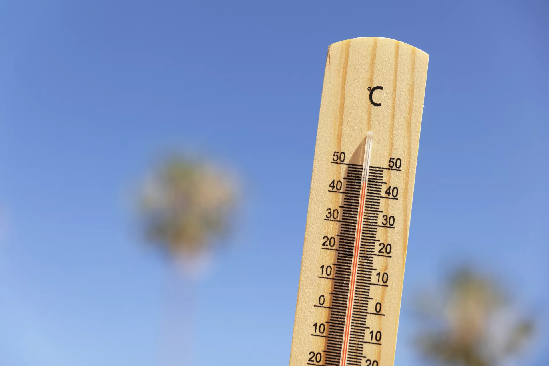 banner canicule